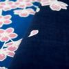 Dyeing Anbo Hand Towel Navy Authentic Made in 35cm x 100cm "Spring Evening" Blue, Dyed, 100% Cotton, Tokuoka, Japan,