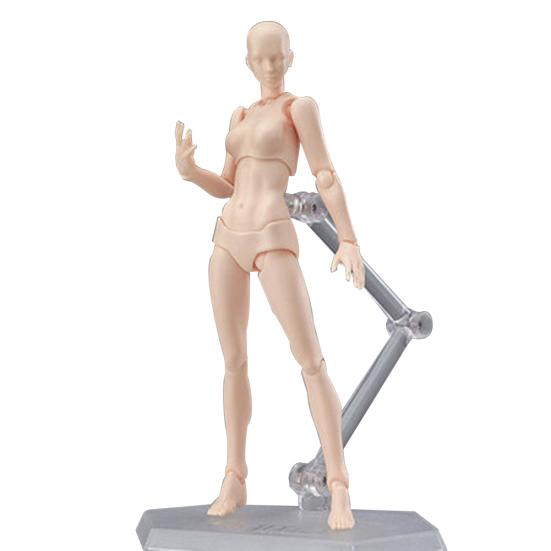 Drawing Sketch Male Female Movable Doll Action Artist Figure Archetype Body