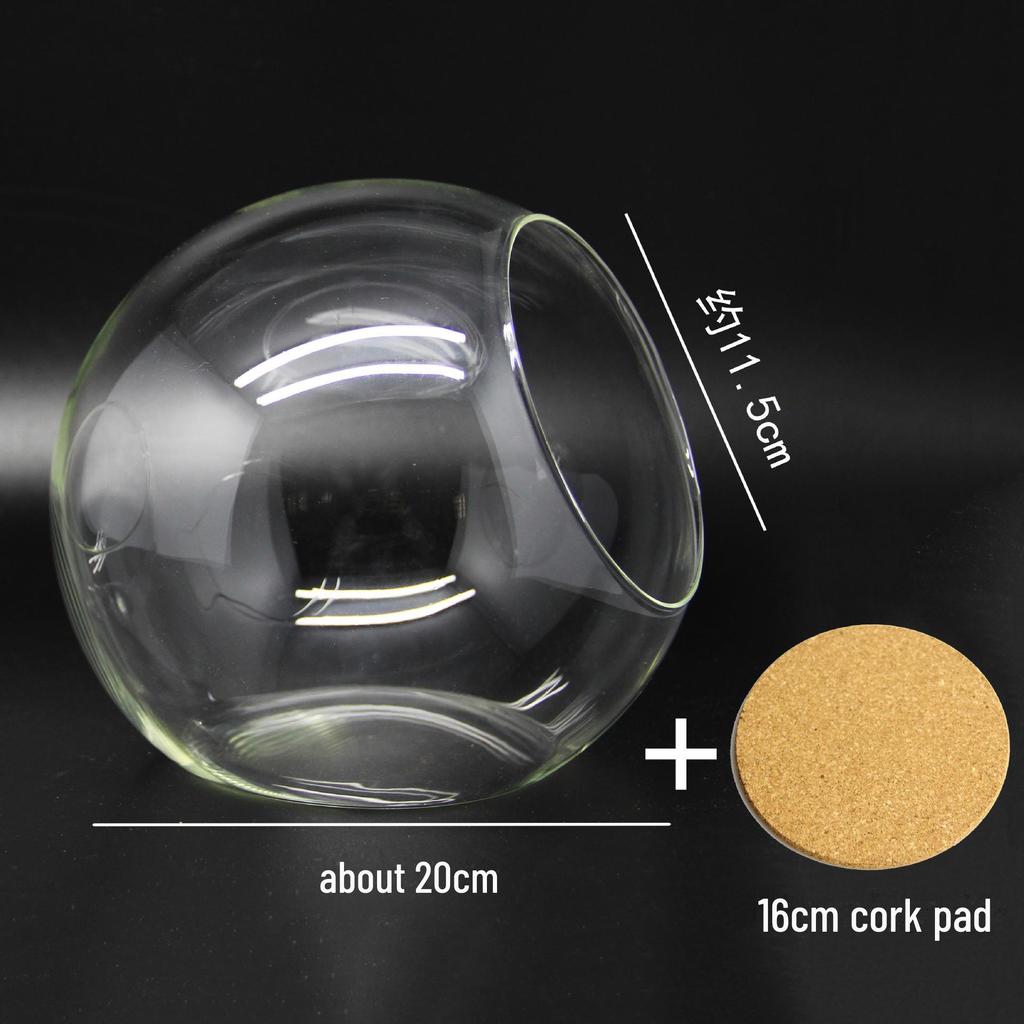 Круглая стеклянная ваза с косым горлышком для суккулентов и микроландшафтов