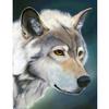 Вышивка Картина Алмазная вышивка Вышивка Ремесла Набор для рисования Волк Акварель Алмаз