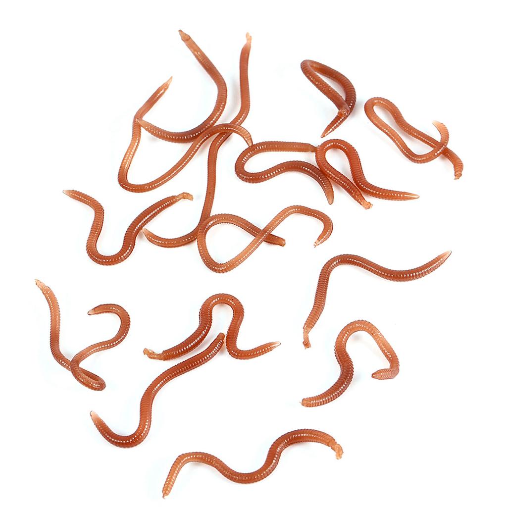 10cm Worm Shaped Fishy Smell Soft Fishing Lure Baits With Box For Fishermen