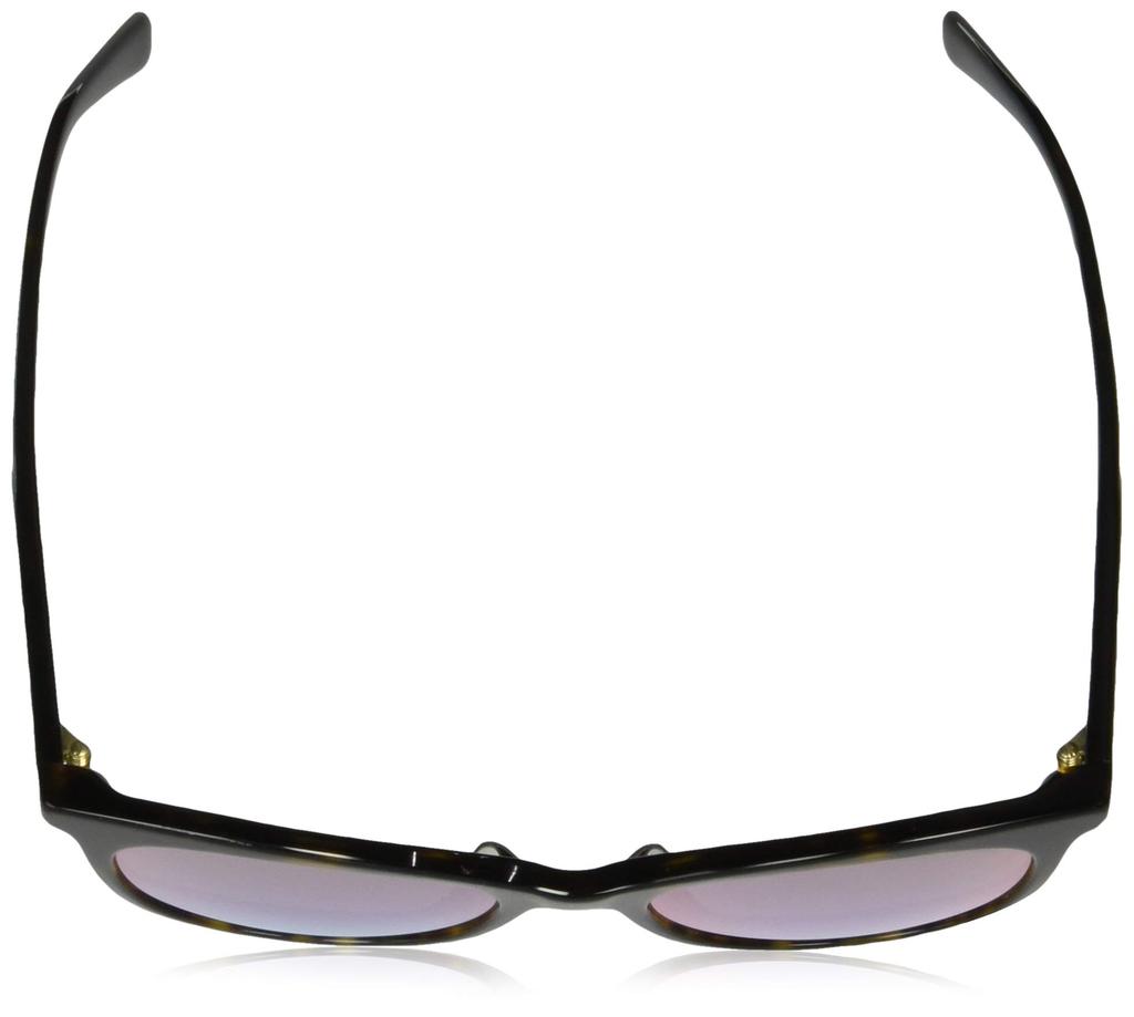 Sunglasses AX4094SF Havana 54 [Armani Exchange] Men's