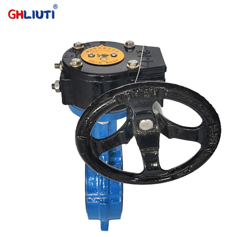 Ductile Iron Worm Gear Lug Type Butterfly Valve