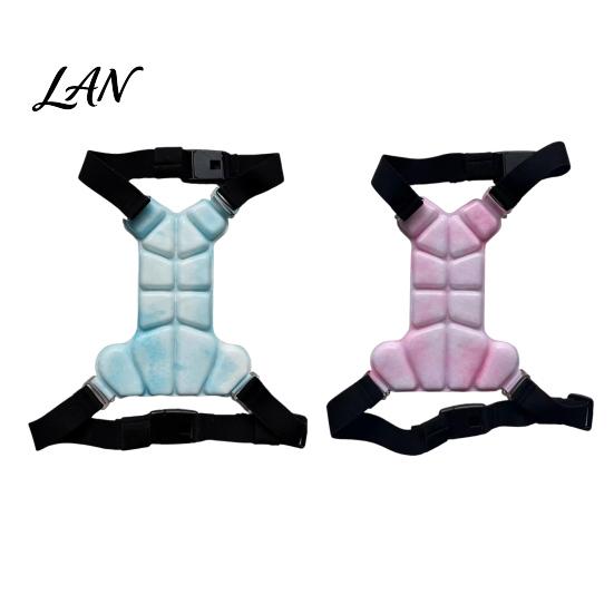 Comfortable Cooling Harness for Walking Dog Vest, Breathable Coat with Gel Ice Packs, Pet Heat Stress Relief Gear Summer Jacket Large Medium