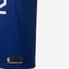 Nike NBA Williams Clippers Team Edition Быстросохнущий прямой баскетбольный жилет без рукавов для мужчин, синий 864481-411