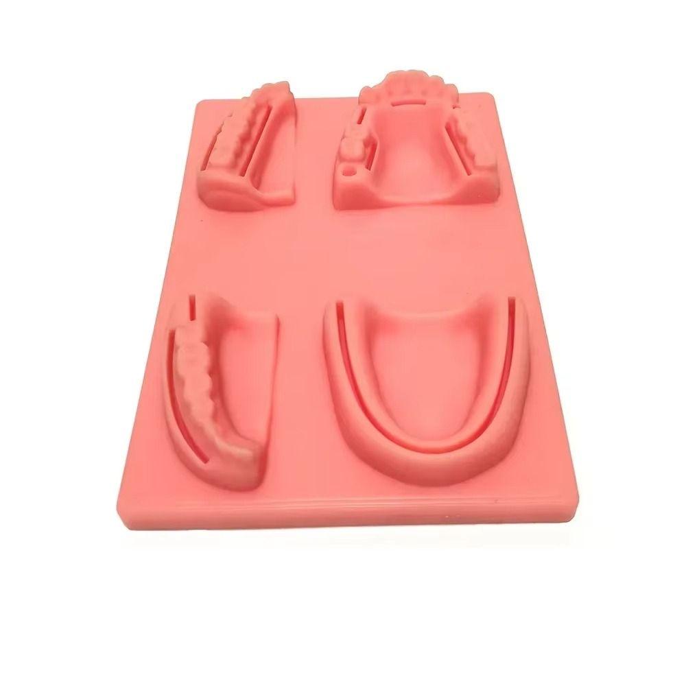 Силиконовая модель для обучения стоматологии 4 типа ран Модель для тренировки наложения швов на десну Для обучения стоматологов