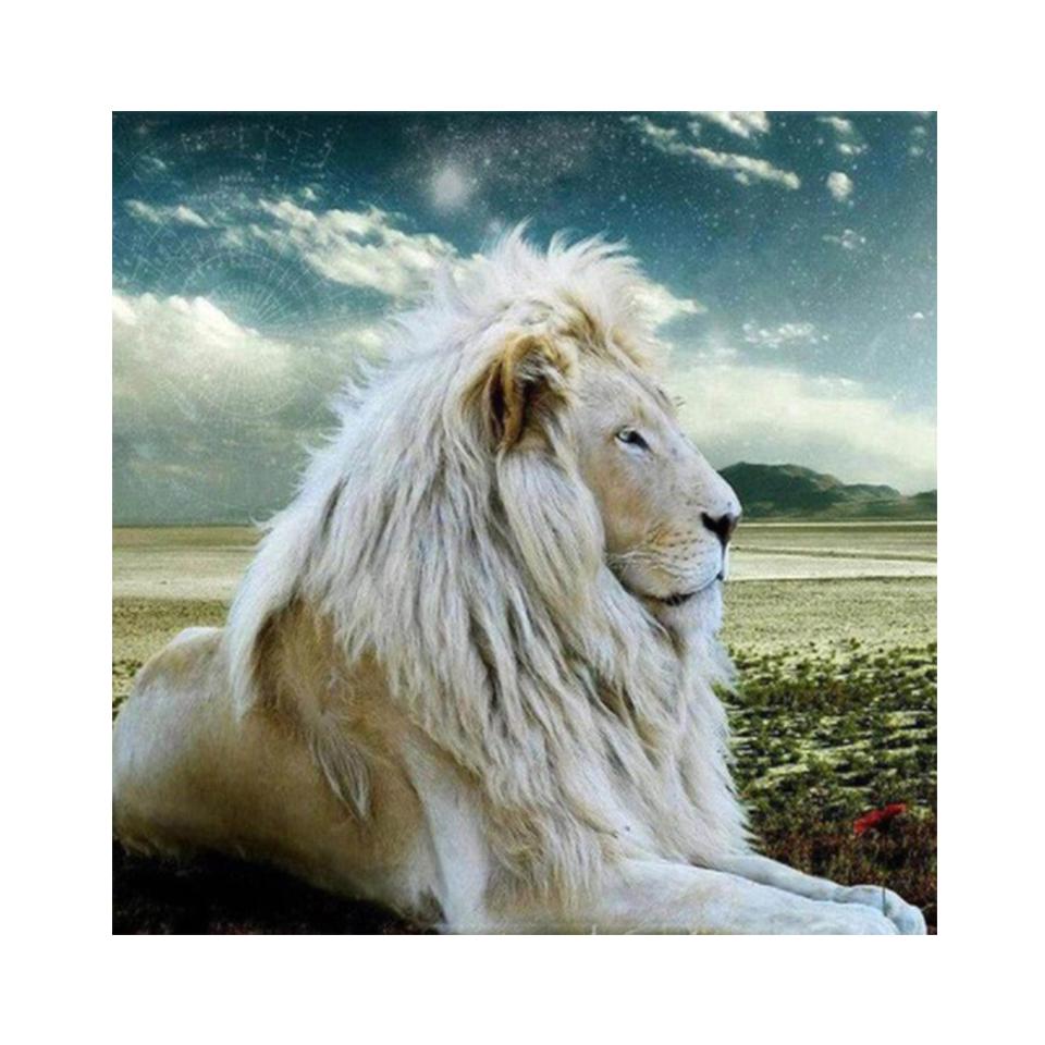 DIY 5D Лев алмазная живопись горный хрусталь картина полный круглый животное полная алмазная вышивка подарок мозаика вышивка крестиком украшения