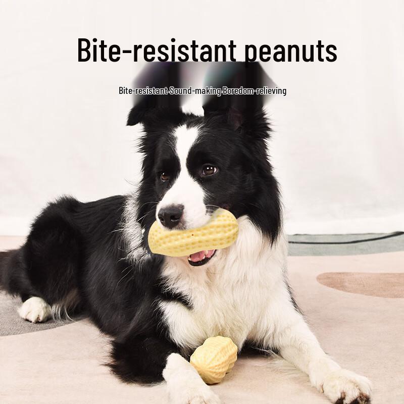 Dog Peanut Chew Toy with Squeaker