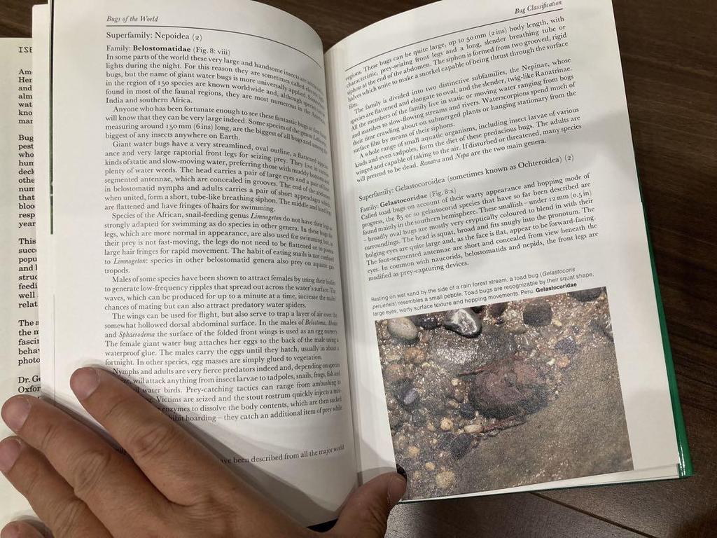 [ИСПОЛЬЗОВАН] Жуки мира Поиск образцов насекомых