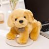 Simulated Golden Retriever Dog Plush Toy Cute Sitting Small Golden Retriever Doll Children Accompany Puppy Doll