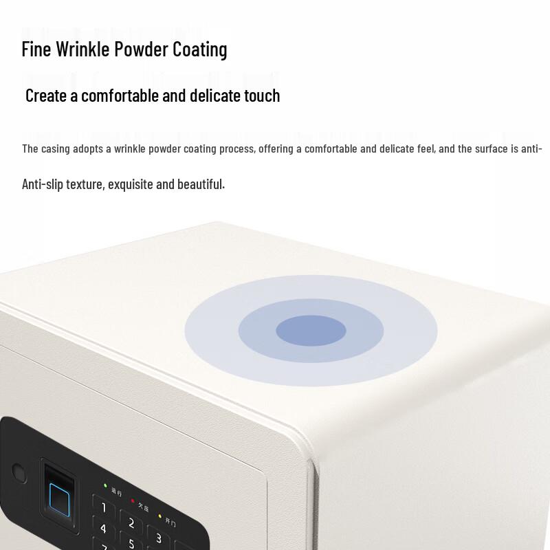 Deli Small Fingerprint & Password Security Safe