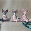 Meditation Yoga Happy Cat Whimsical Buddha Sphinx Cat Statue Art Deco Sculpture Outdoor Garden Statue 3D Home Decor