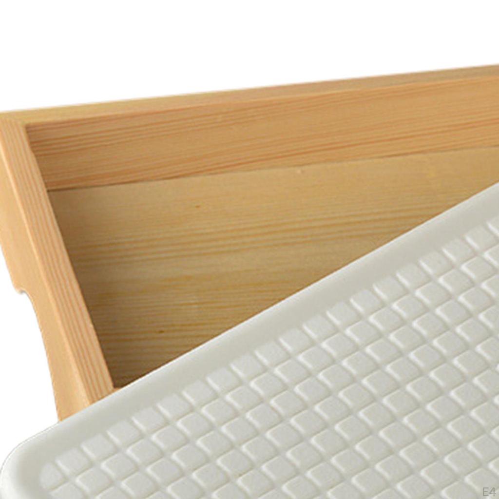 Ice Sushi Serving Platter Board Food Dish, Durable,Ice Dish for Restaurant