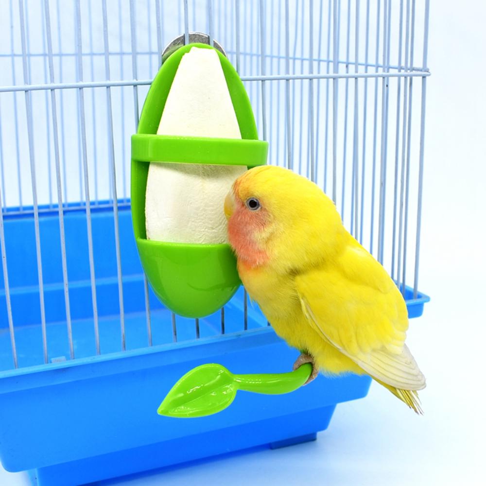 Food with Standing Rack Pet Food Container Fruit Vegetable Holder Parrot Feeder Bird Supplies