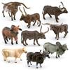 Simulation Of Texas Longhorn Watusi Cattle Zebra Charolais Cattle Gower Cow River Buffalo Animal Model