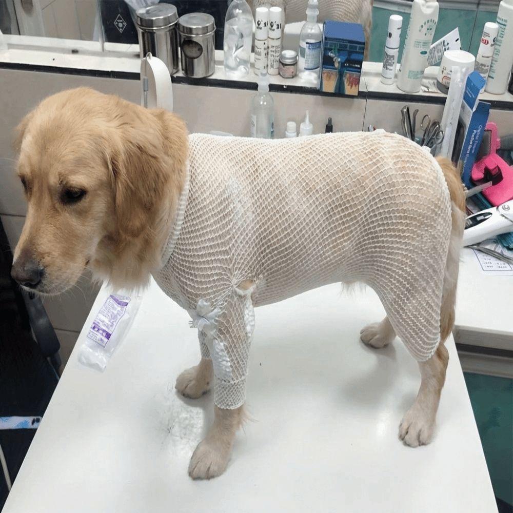 Breathable Pet Protection Cover Elastic Knee Paw Net Sleeve Wound Recovery