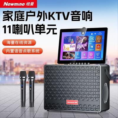 Портативная Bluetooth-колонка для караоке Newmine K97, штекер CN (адаптер в комплекте)