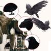 Black Crow Halloween Decoration Realistic Flying Crow Prop For Halloween Yard Garden