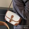Bag women's 2025 spring and summer new Korean version trendy fashion small square bag niche high-end simple casual messenger bag