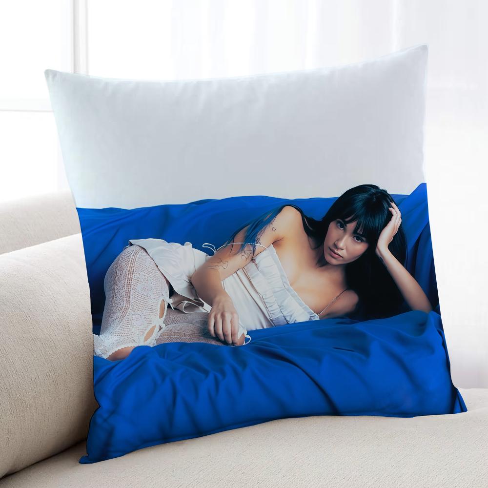 AAitana Singer OOcana Cuarto azul cushion cover Home Bedding Sofa living Room pillowcase Simple Soft Skin Cushion Cover