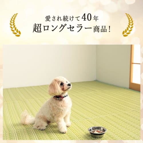 IKEHIKO Rug, Made in Japan, Polypropylene Vulcan Carpet, 2-Tatami Size, Green, Washable, Tatami Mat, Rush-Look Rug, Stylish, Stain-Resistant, Durable,