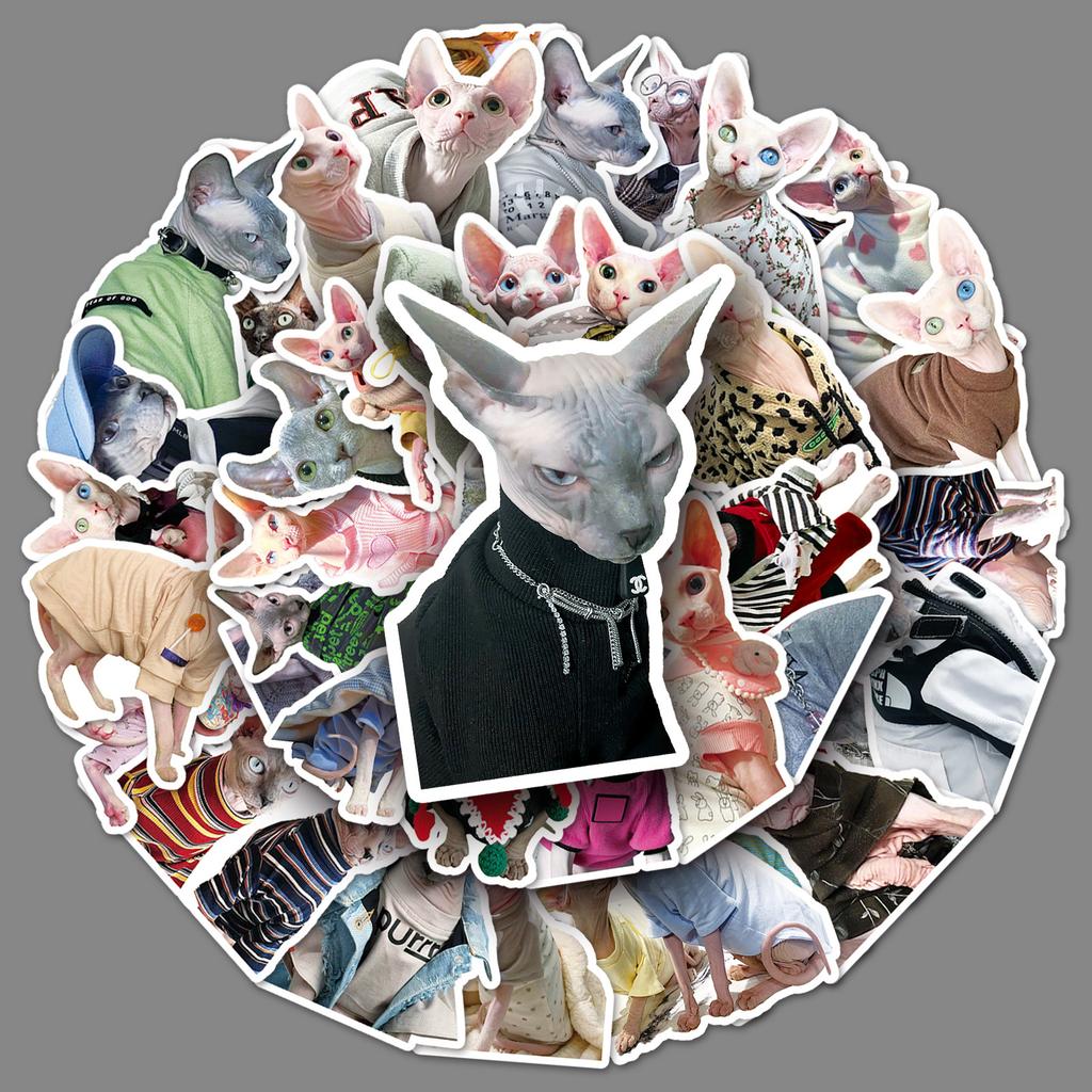 50 Дудл бесшерстной кошки Сфинкс Инс Фэнгука DIY Мобильный чехол Наклейки для чашки для воды Чемодана