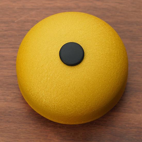 Steel Tongue Drum 6 Notes Mini for Kids 3 Inches Rain Drums Outside Rain