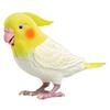 Takara Tomy Arts Healing Partner More Talkative Genius Cockatiel