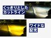fcl. HB4 LED Fog Lamp, 2-Color Changing, White, Yellow, Road Transport Vehicle Act Compliant