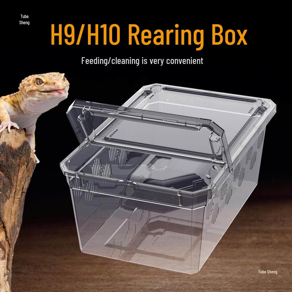 Reptile and Insect Breeding Box for Frogs, Spiders, Geckos, Lizards, Turtles, Hermit Crabs, and Snails.