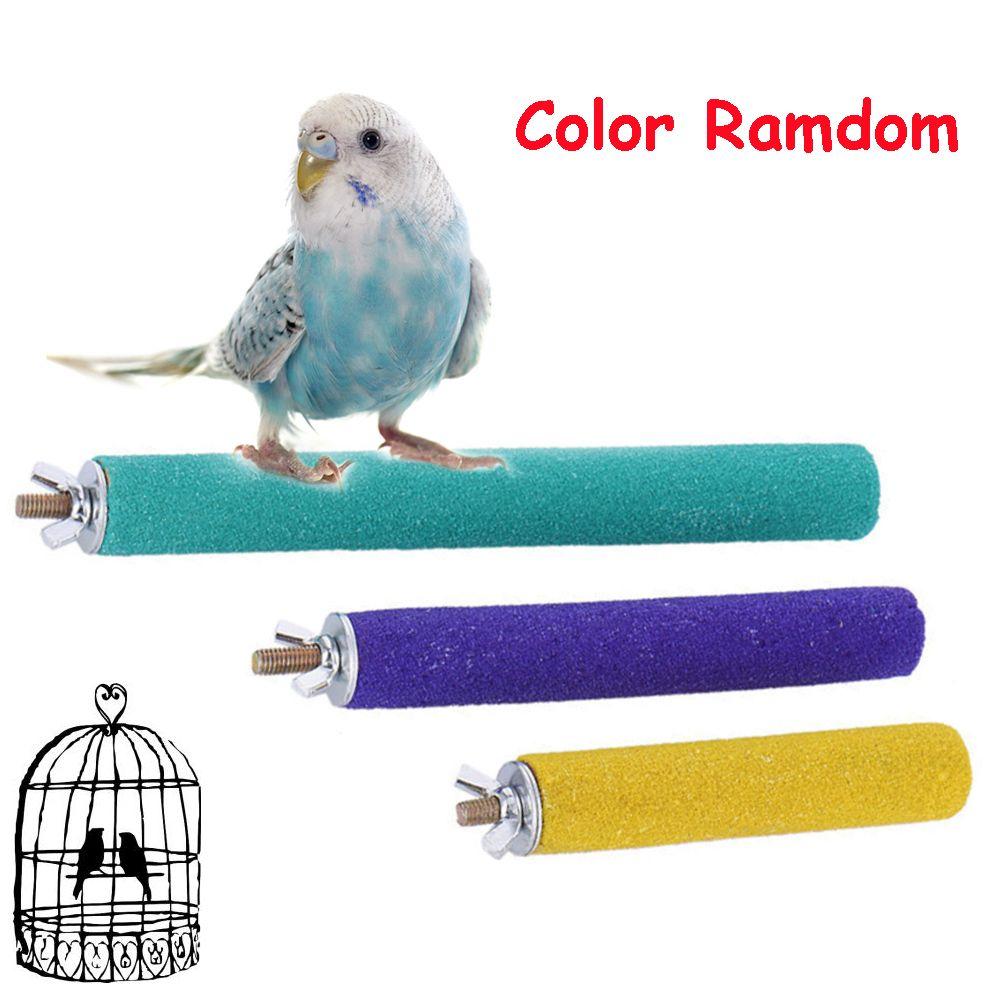 Random Pet Supplies Clean Paw Chew Toy Station Platform Bird Cage Parrot Perches Stand Paw Grinding