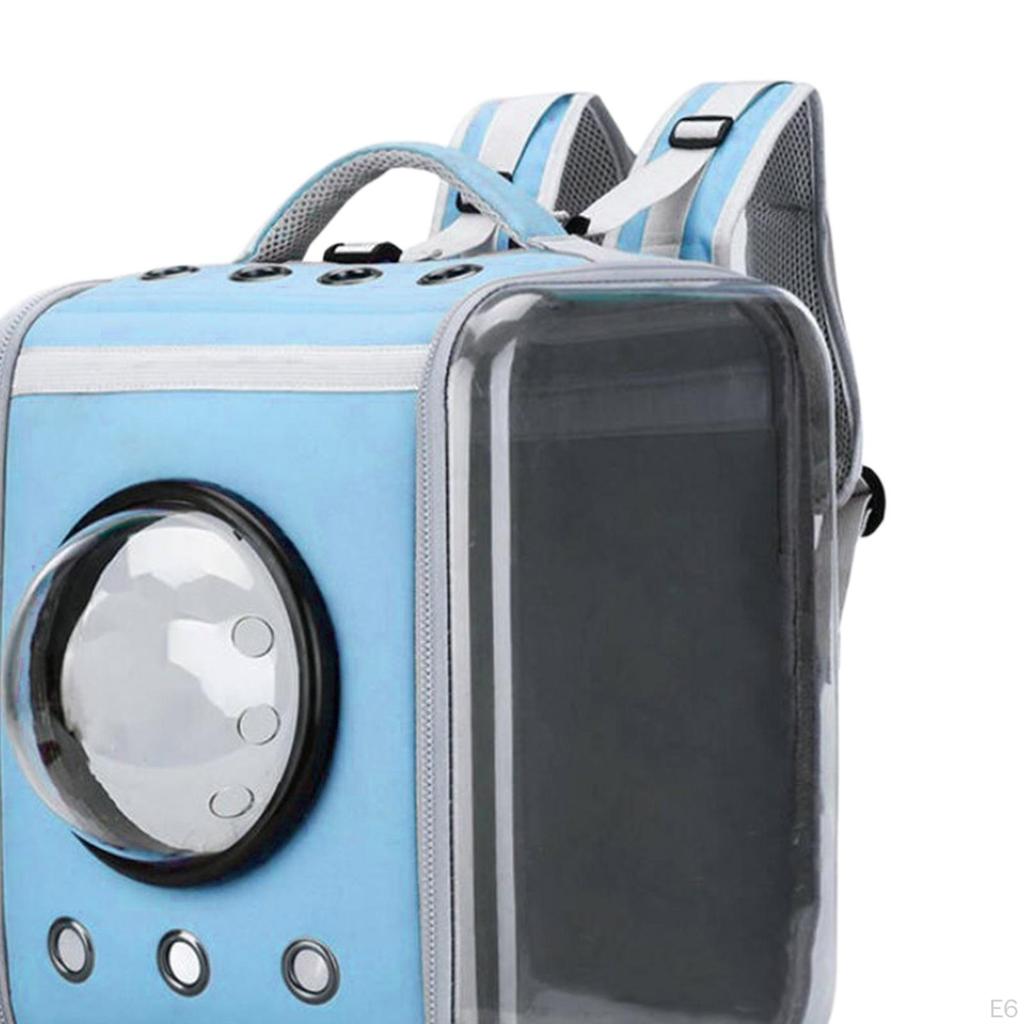 Bag Transparent Pet Backpack for Outdoor
