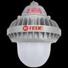 TEDE TD-97120 Портативный светодиодный осветитель для платформы (наружный)