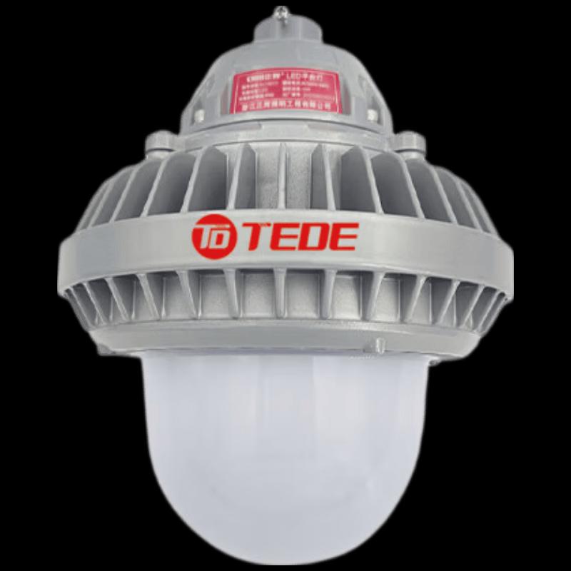 TEDE TD-97120 Портативный светодиодный осветитель для платформы (наружный)