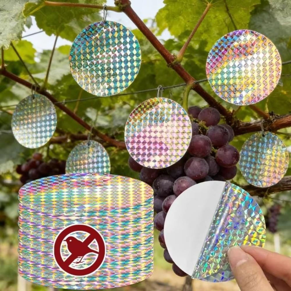 20pcs Reflective Bird Repellent Sticker Garden Bird Control Anti Bird Scare Tape Keep Birds Away