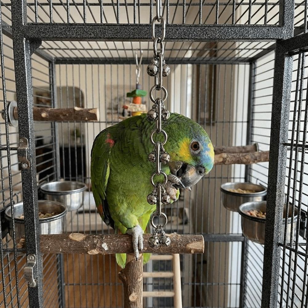 Rust-Proof Parrot Gnaw Toy Stainless Steel Bird Cage Toy Bird Chain Bells Toys Development Puzzle