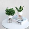 Mini Hydroponic Flower Pot Home Vase Decor Transparent Imitation Glass Soilless Plant Pots Green Plants Pot for Home Decoration