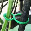 Garden Plant Clips Reusable Plant Support Ties Climbing Plants Clips Vine Support Clips for Indoor Outdoor Gardening