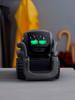 Умный робот-питомец Vector2.0: Эмоциональный компаньон и интерактивная игрушка для детей на базе ИИ