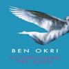 Astonishing the Gods by Ben Okri Paperback Book 9781784082550