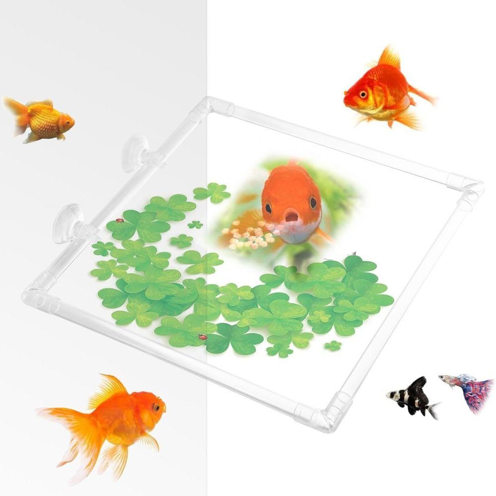 Clear Aquarium Floating Plant Corral Acrylic Aquarium Food Ring Garden Lawn Yard