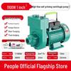 Household Self-Priming Large Flow Water & Sewage Pump for Agriculture & Drainage