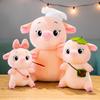 Creative Baby Pig Plush Toy For Girls Soft And Cuddly Animal Doll Wholesale Birthday Gift