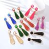 Drop-Shaped Color Earrings Long Resin Earrings Studs Geometric Ear Fashion Style