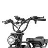 HEADEER BK20 Adult E-Bike 48V20AH Battery 750W Motor Electric Bicycle 150KG Load 80KM Range 20 Inch Fat Tires Off-Road E-Mountain Bike