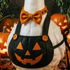 Halloween Goose Statue Mini Desk Statue, Cute Small Figurine with Hand Painted Garden Pumpkin Apron And Wizard Hat for Home Office Table Decor