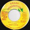 7-дюймовая пластинка TERRY GANZIE - Keep On Talking NONE Burro Internati 1995 Ямайка Регги, Ска и Даб Б/У