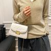 A Fashionable Chain Crossbody Bag for Ladies, A Trendy Lock-button Hand-held Small Square Bag
