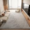 Living Room Carpet Sofa Coffee Table Carpet Simple Wear-resistant Anti Slip Entrance Floor Mat
