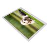 Digital Picture Frame 15 Inch 1080P HD Multifunctional Wireless Electronic Photo Frame with Remote Control for Home